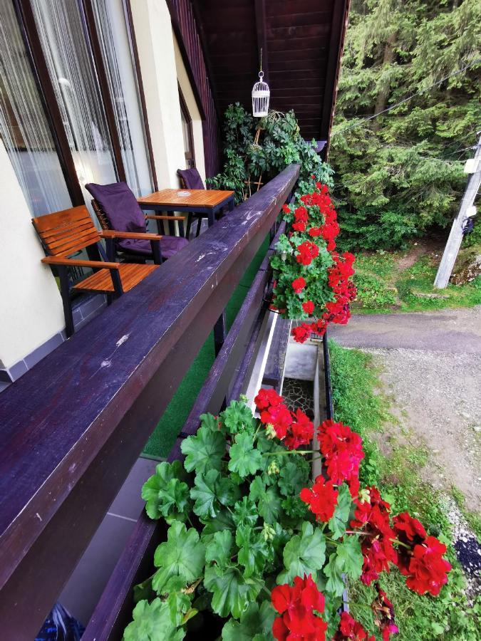 Apartment Kalinderu K1 Busteni