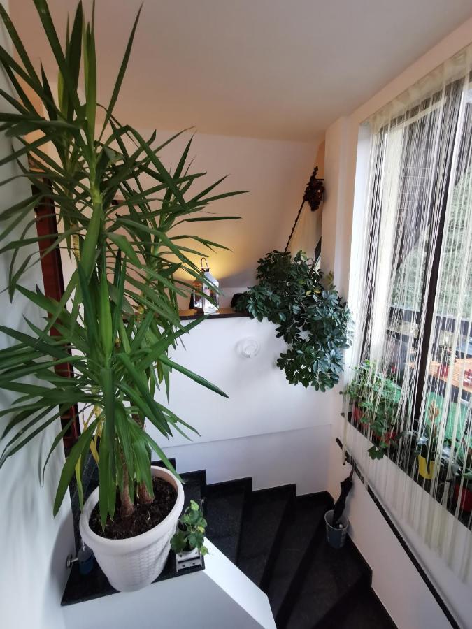 Kalinderu K1 Apartment Busteni