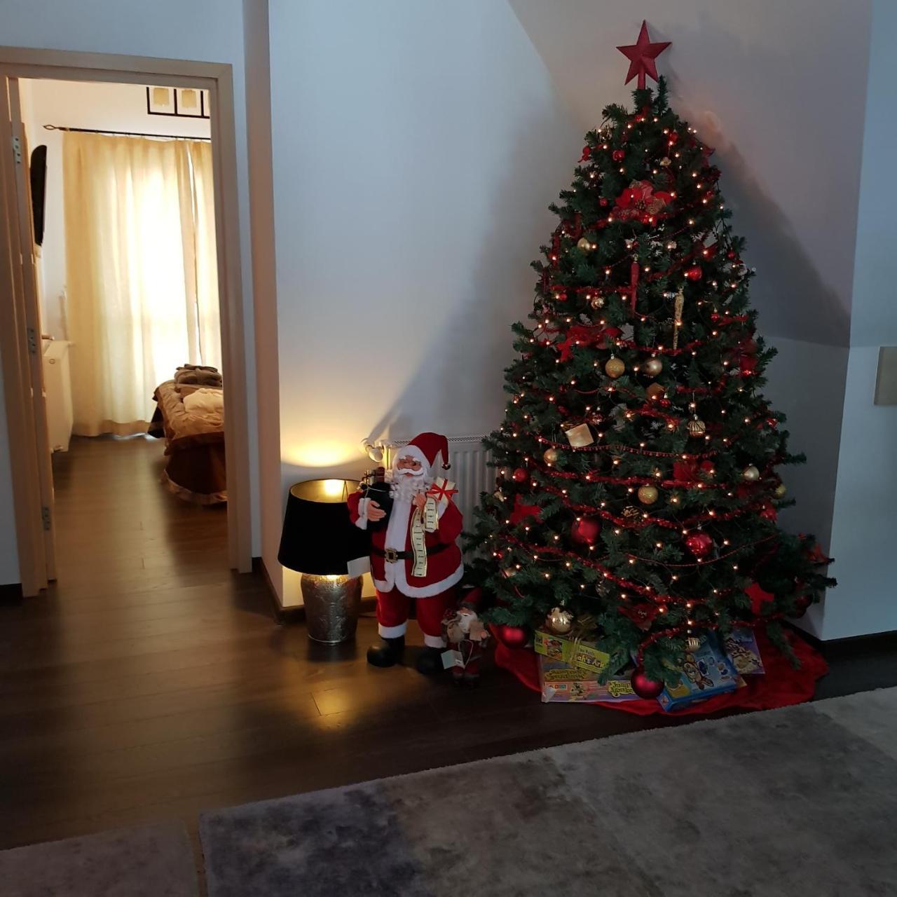 Apartment Kalinderu K1