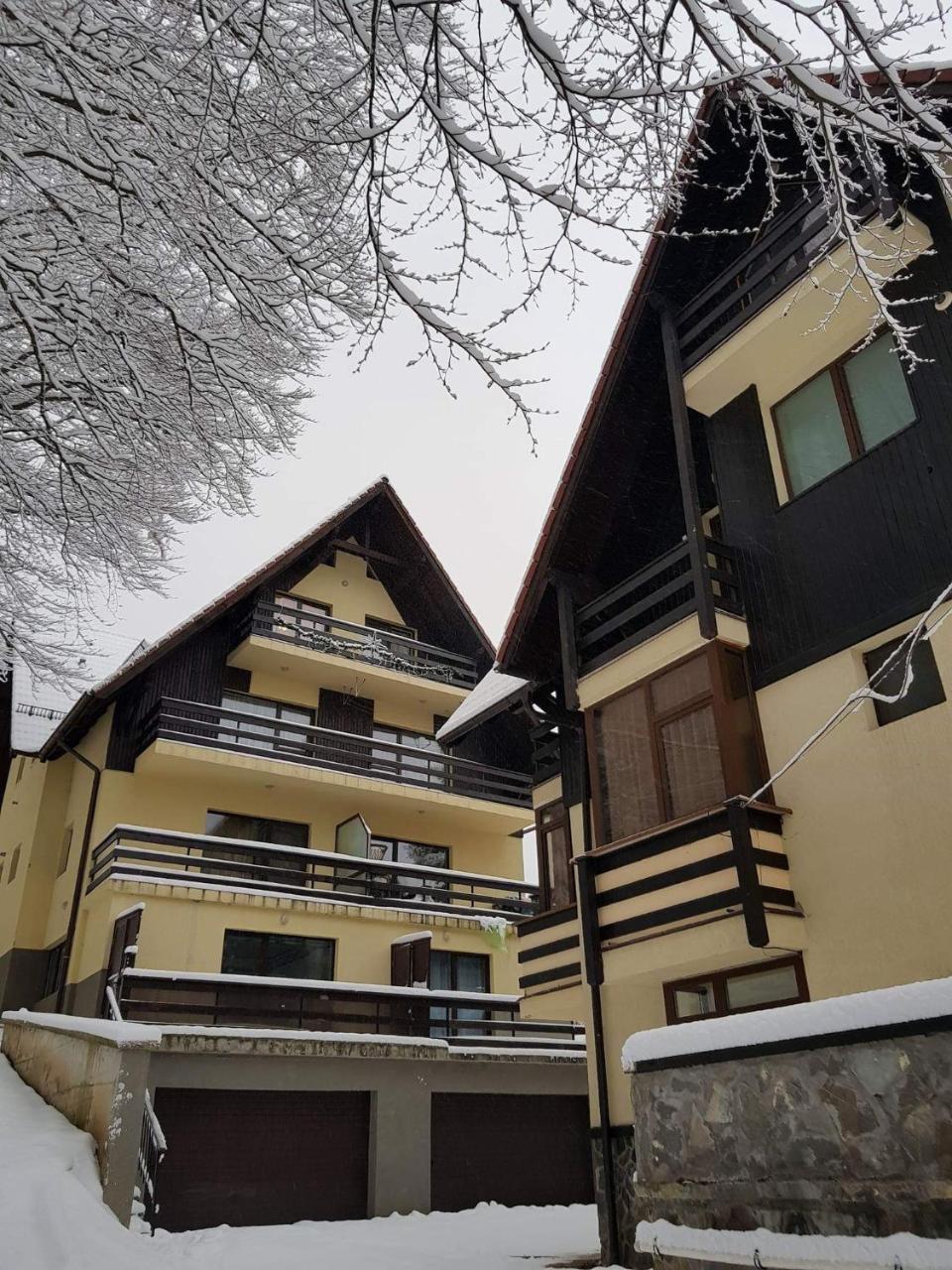 Kalinderu K1 Apartment Busteni