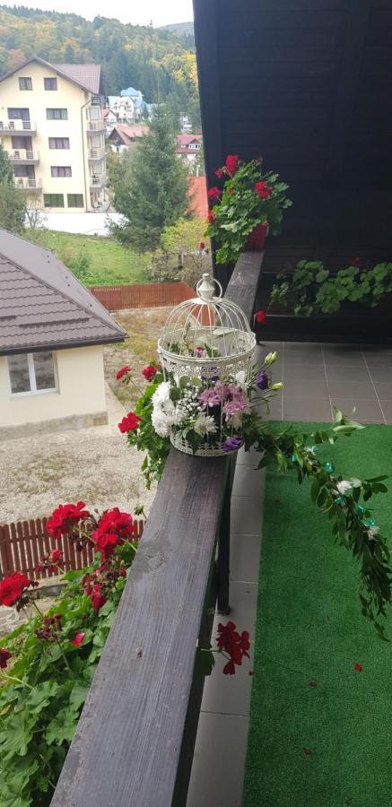 Apartment Kalinderu K1 Busteni